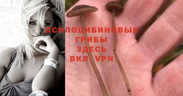 МДМА Дмитровск
