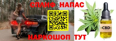 гидра Аргун