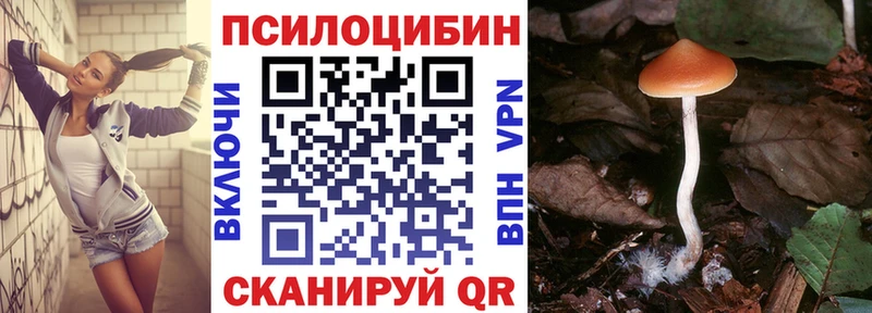 Галлюциногенные грибы Psilocybe  Ачинск 
