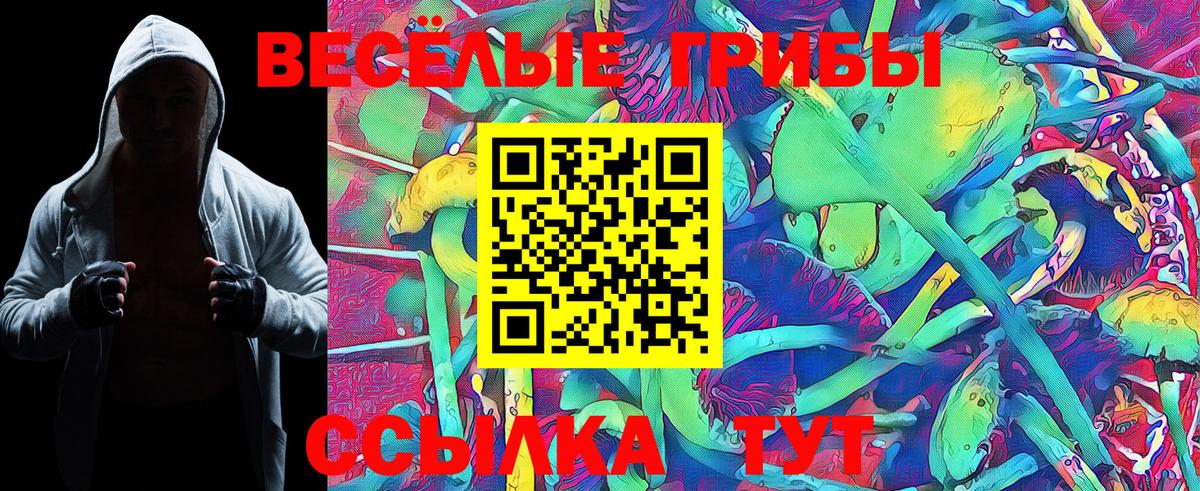 Галлюциногенные грибы Cubensis Ачинск